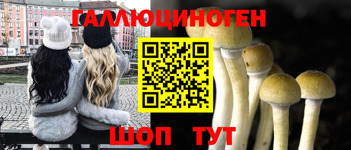 Галлюциногенные грибы мицелий  Вход с VPN  Рязань 